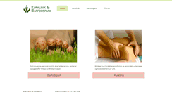 Desktop Screenshot of barfodspark.dk
